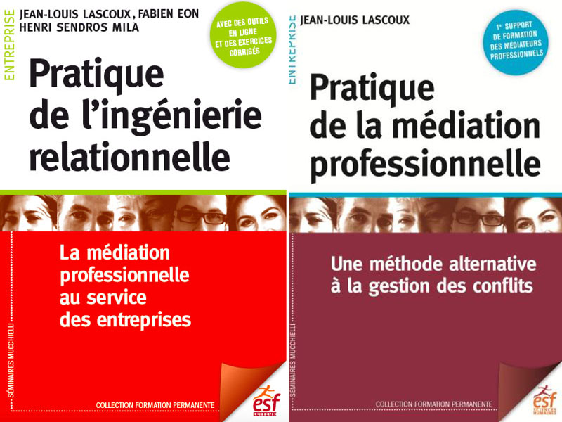 livre pratique de l'ingénierie relationnelle et pratique de la médiation professionnelle jean louis lascoux